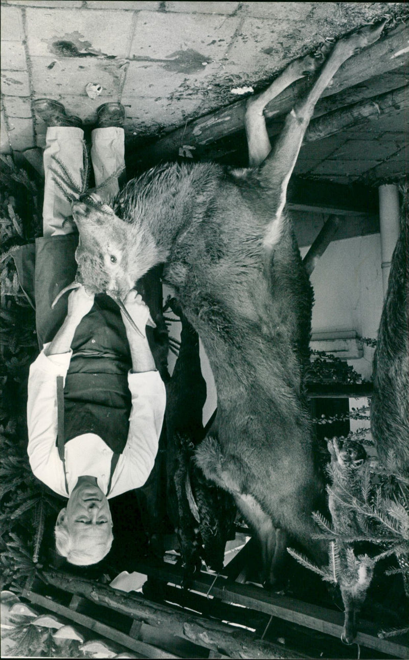 - Vintage Photograph