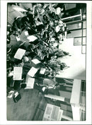 - Vintage Photograph