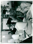 - Vintage Photograph