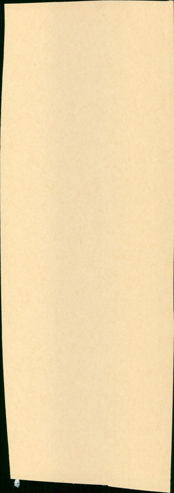 - Vintage Photograph