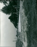 - Vintage Photograph