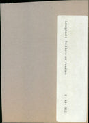 - Vintage Photograph