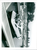 - Vintage Photograph