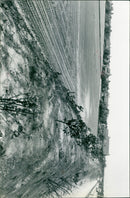 - Vintage Photograph