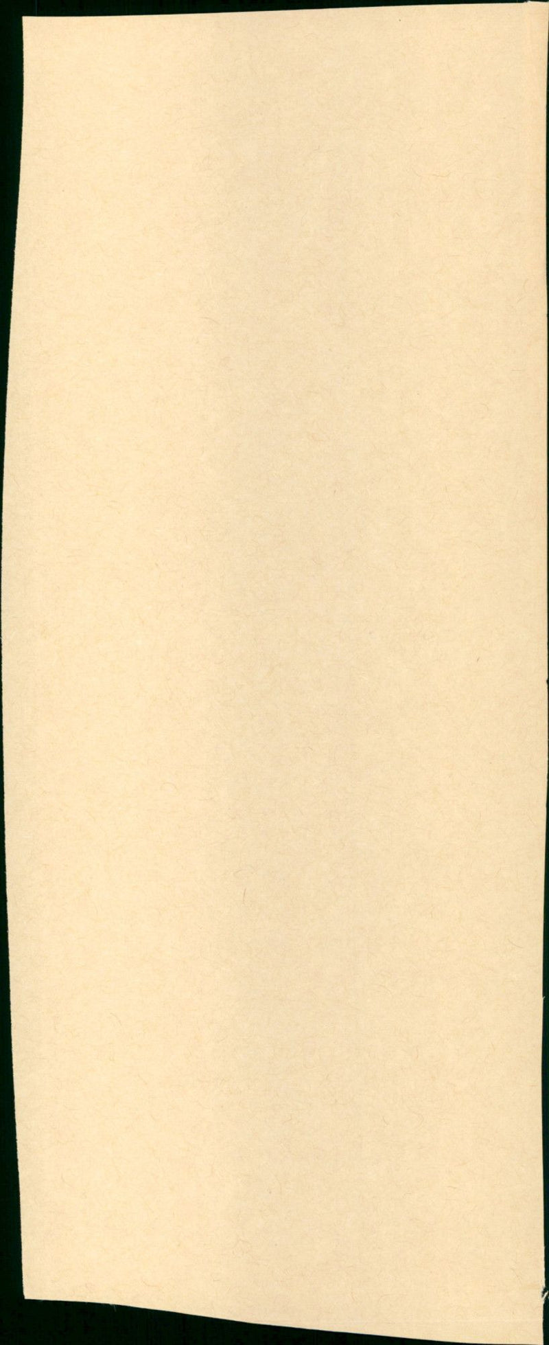 - Vintage Photograph