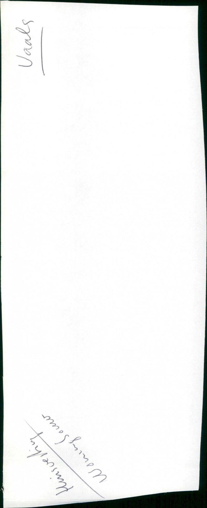 - Vintage Photograph