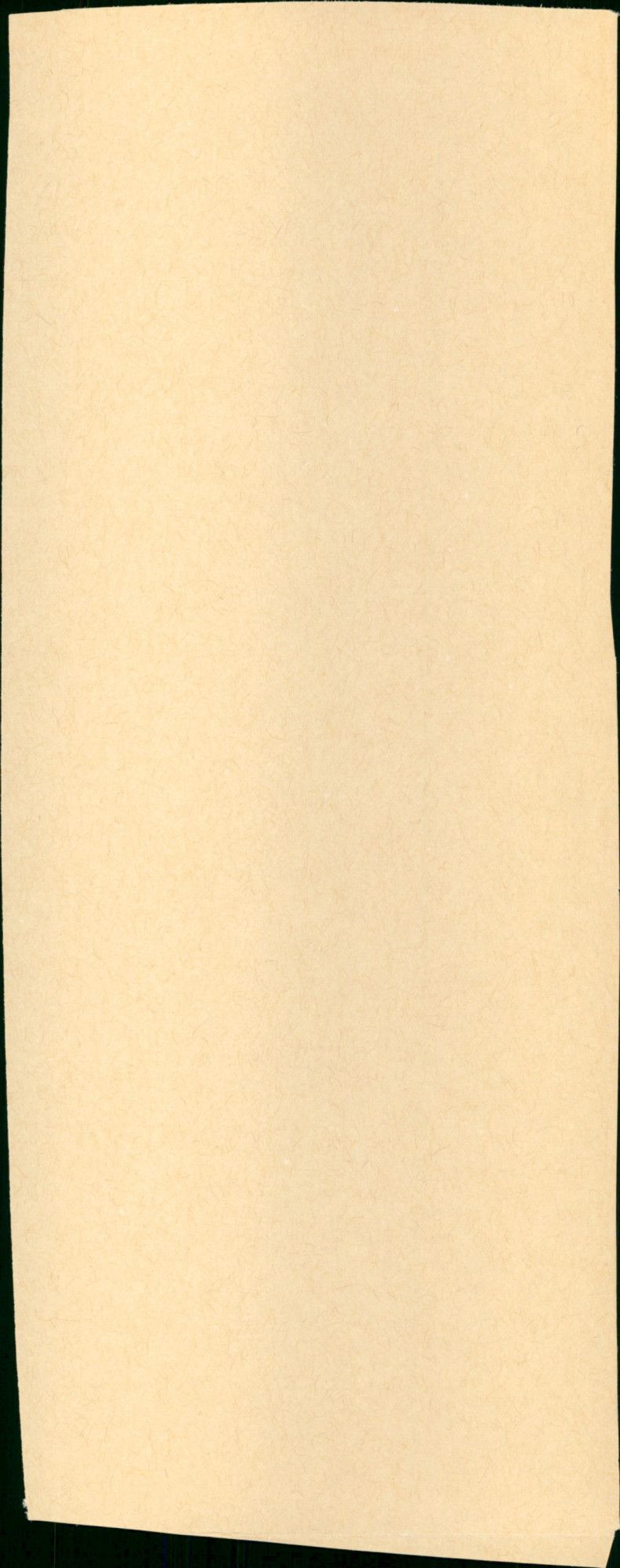 - Vintage Photograph