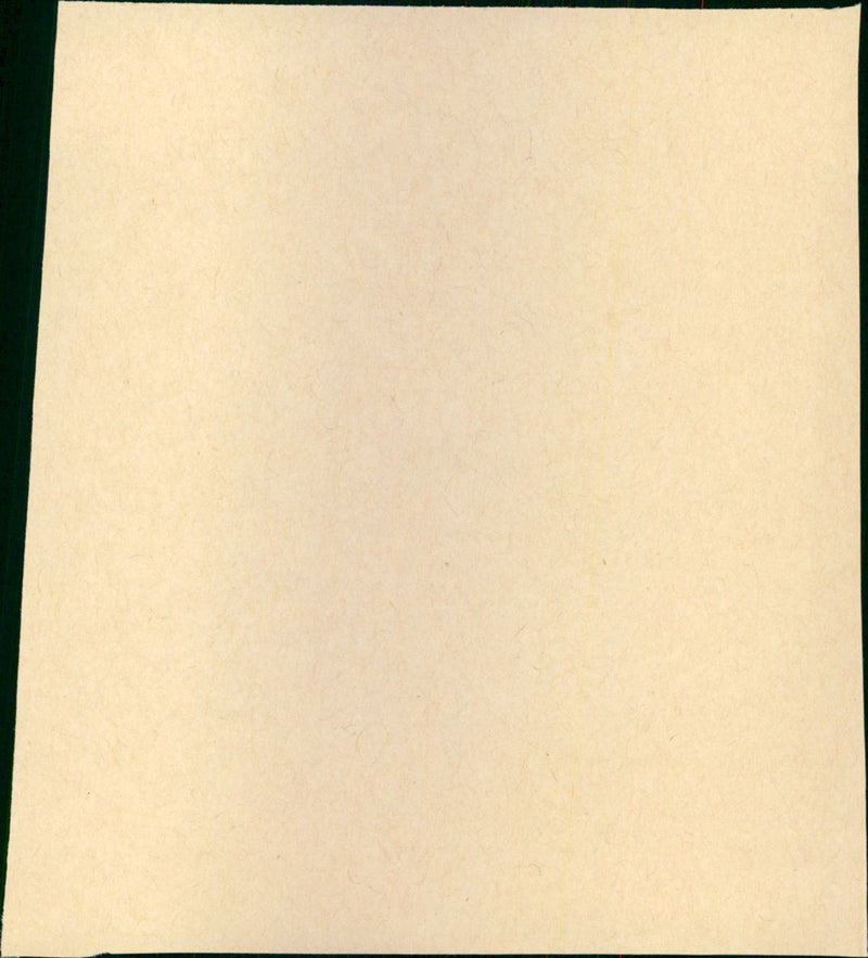 - Vintage Photograph