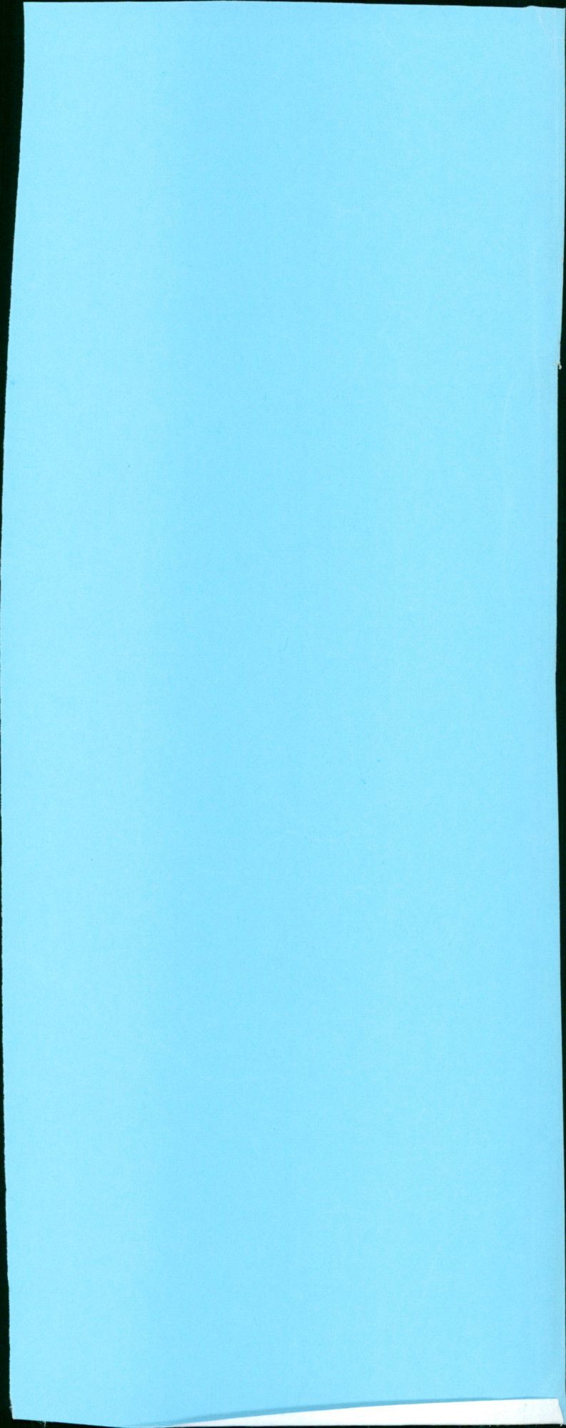 - Vintage Photograph