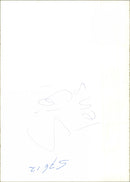 - Vintage Photograph