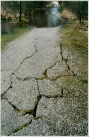 - Vintage Photograph