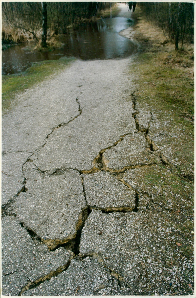 - Vintage Photograph