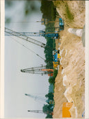 - Vintage Photograph