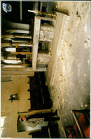 - Vintage Photograph