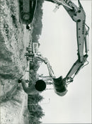 - Vintage Photograph