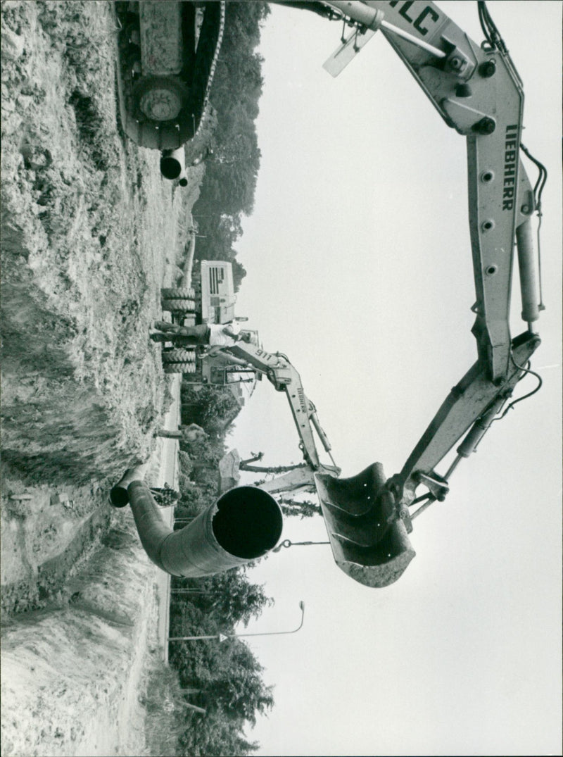 - Vintage Photograph