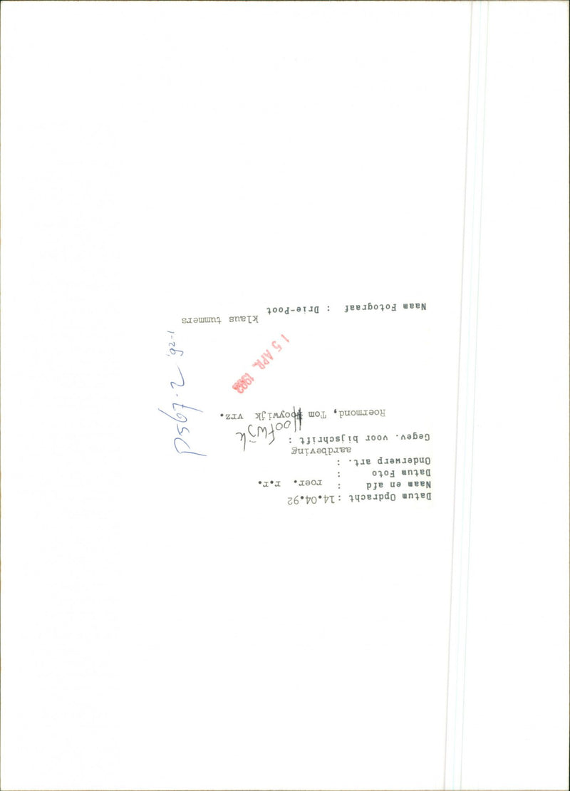 - Vintage Photograph