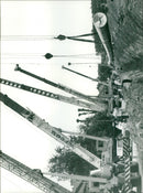 - Vintage Photograph