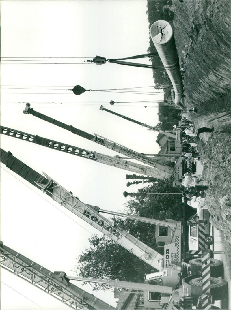 - Vintage Photograph