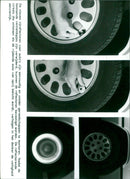 - Vintage Photograph