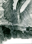 - Vintage Photograph