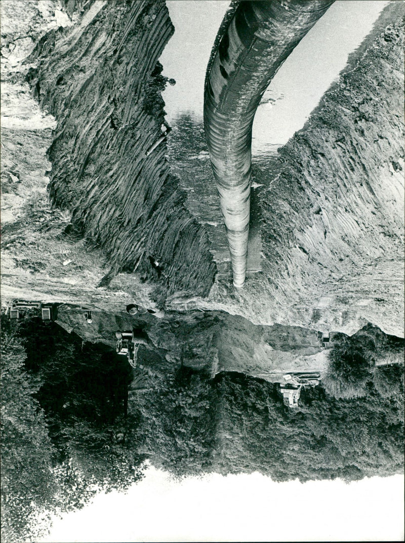 - Vintage Photograph