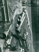 - Vintage Photograph