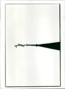 - Vintage Photograph