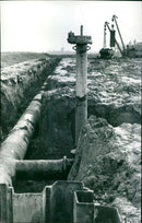 - Vintage Photograph