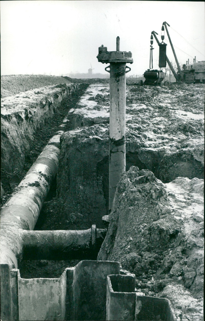 - Vintage Photograph