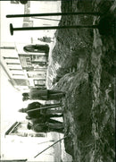 - Vintage Photograph