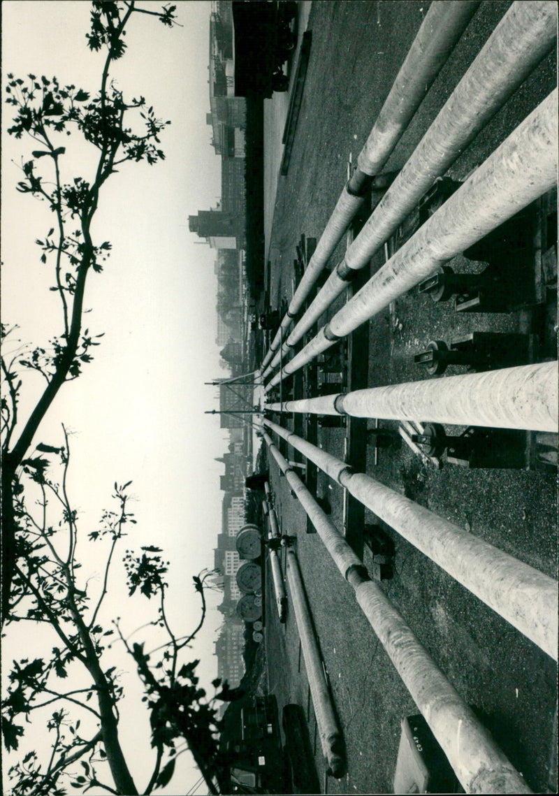 - Vintage Photograph