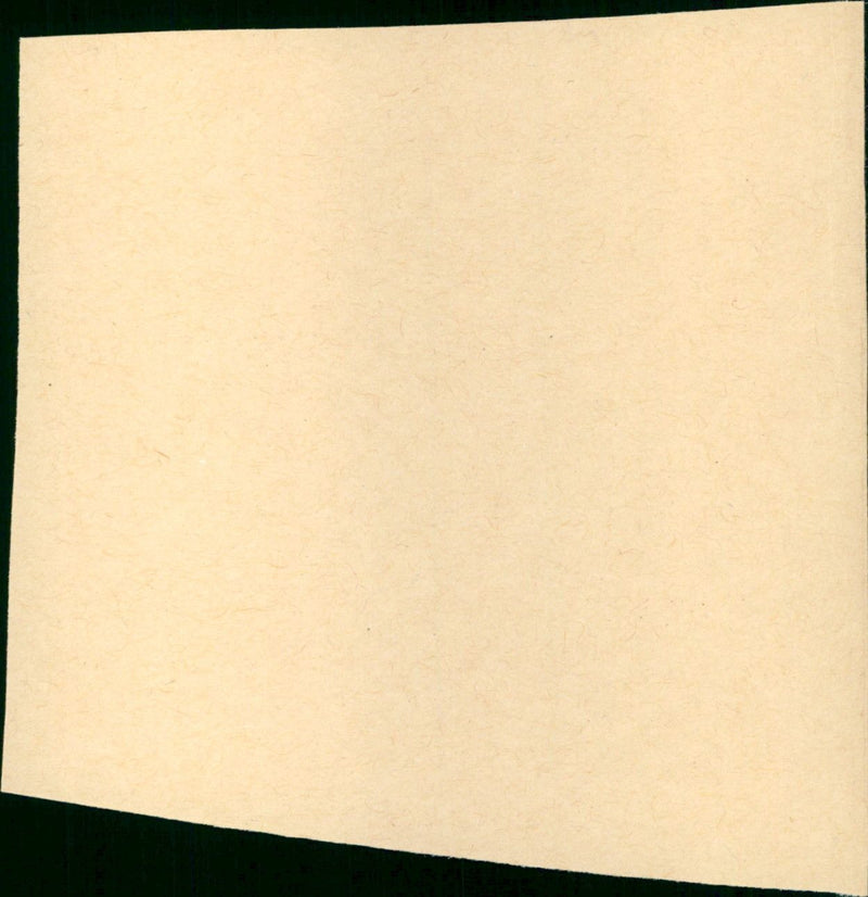 - Vintage Photograph