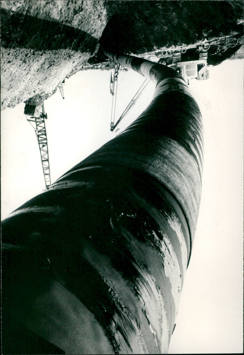 - Vintage Photograph