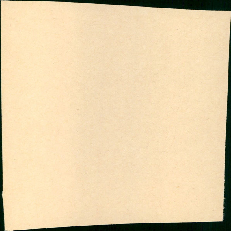 - Vintage Photograph