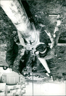 - Vintage Photograph