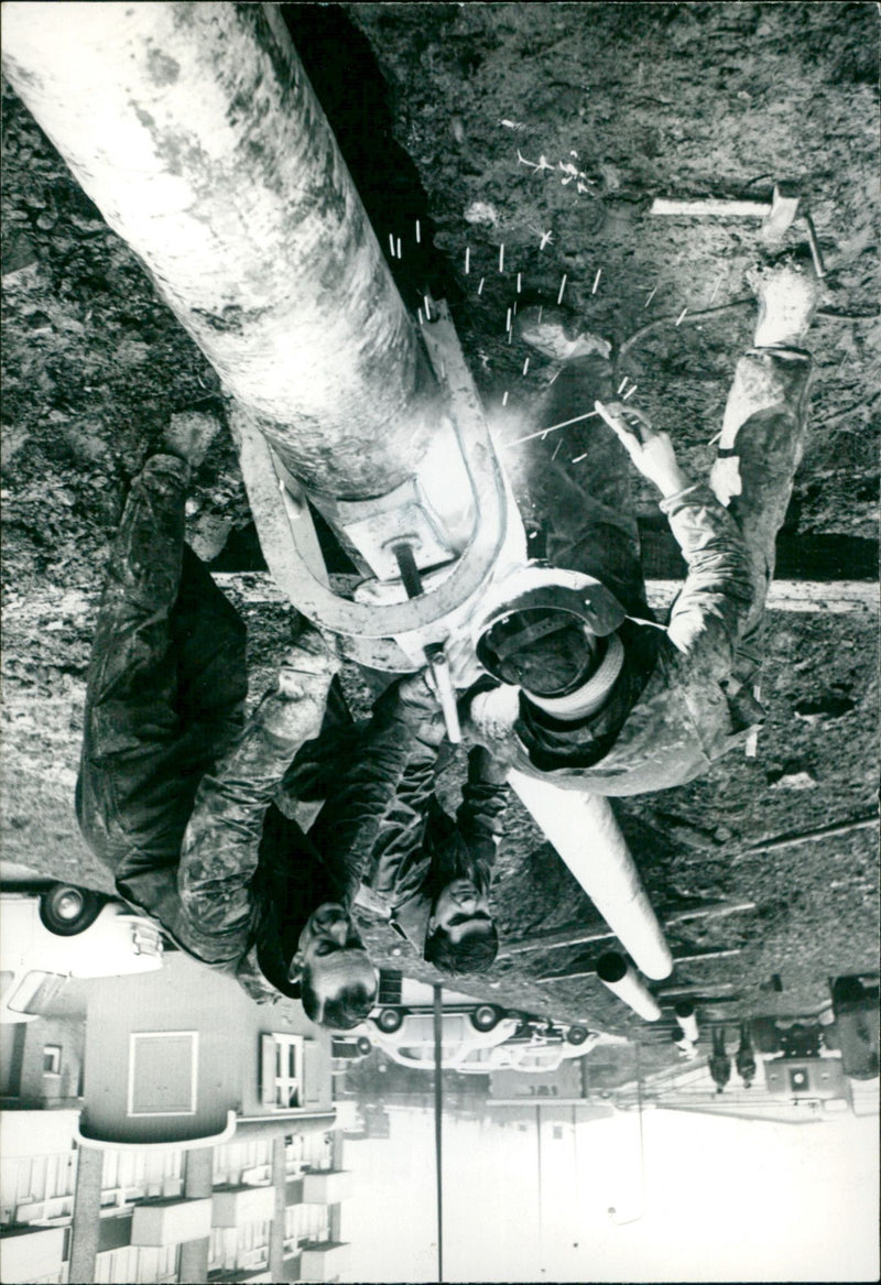 - Vintage Photograph