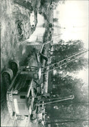 - Vintage Photograph