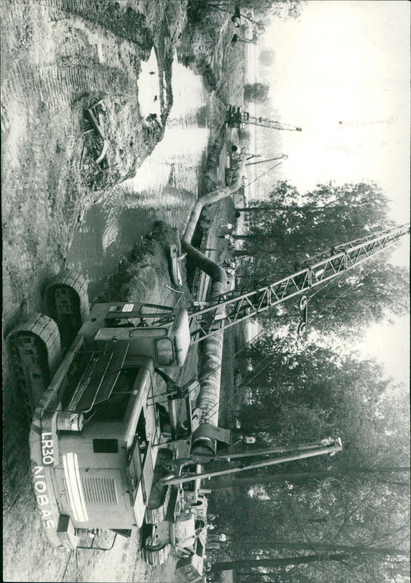 - Vintage Photograph