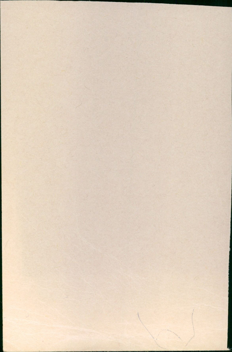 - Vintage Photograph