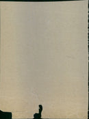 - Vintage Photograph