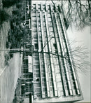 - Vintage Photograph