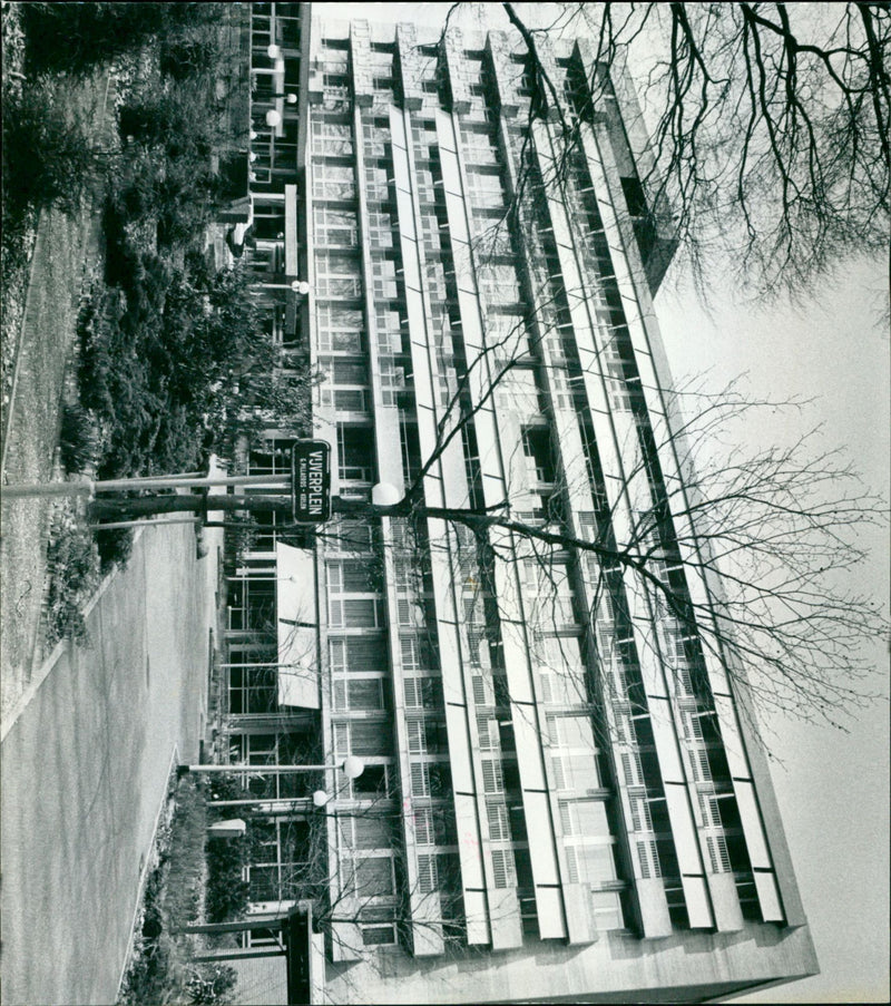 - Vintage Photograph