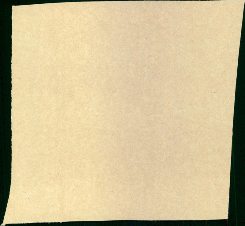 - Vintage Photograph