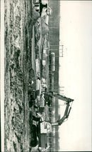 - Vintage Photograph