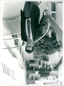 - Vintage Photograph