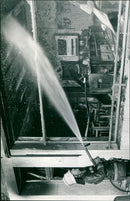 - Vintage Photograph