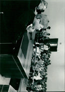 - Vintage Photograph