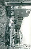 - Vintage Photograph