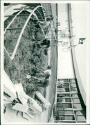 - Vintage Photograph